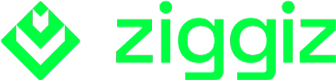ziggiz logo