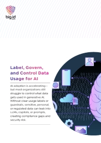 Label, Govern, and Control Data Usage for AI