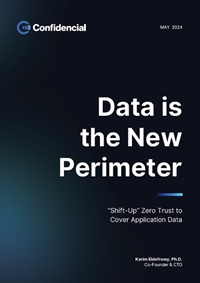 Data is the New Perimeter