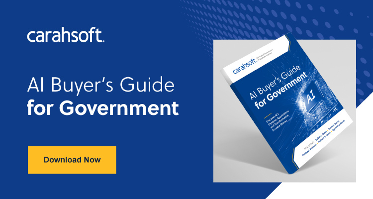 Download Our AI Buyer's Guide for Government