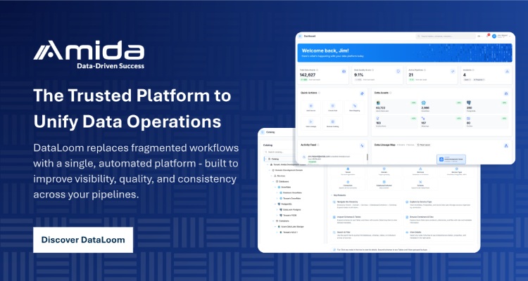 Dataloom the Trusted Platform to Unify Data Operation