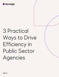 3 Practical Ways to Drive Efficiency in Public Sector Agencies