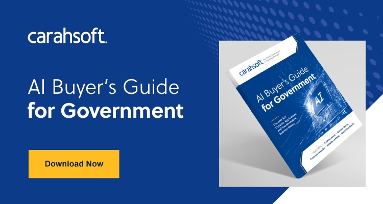 AI Buyer's Guide for Government