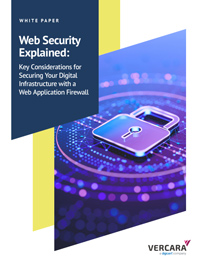 Web Security Explained: Key Considerations for Securing Your Digital Infrastructure with a Web Application Firewall