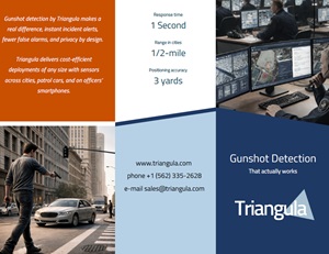 Triangula Flyer 2026