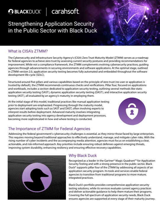 Strengthening Application Security in the Public Sector with Black Duck