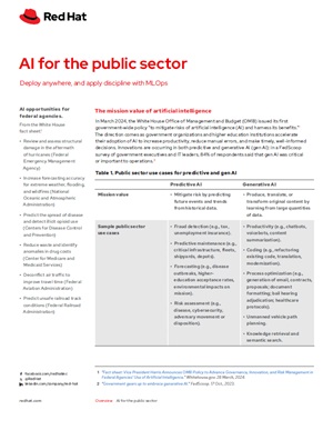AI for the Public Sector
