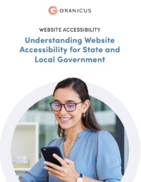 Understanding Website Accessibility for State and Local Government