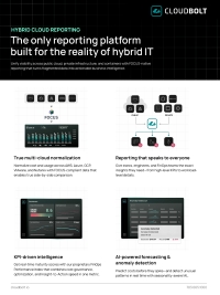 Hybrid Cloud Reporting Capability Guide