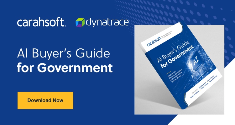 AI Buyer's Guide for Government