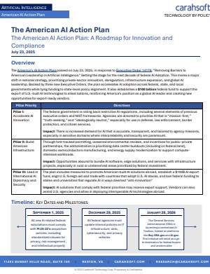  The American AI Action Plan: A Roadmap for Innovation and Compliance