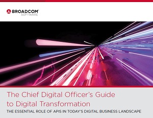 The Chief Digital Officer's Guide to Digital Transformation