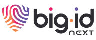 BigID-Microsite-Logo.png