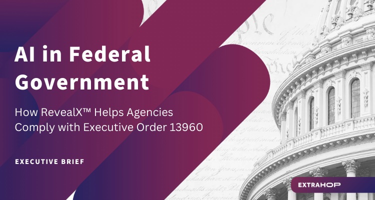 AI in Federal Government