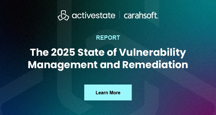 The 2025 State of Vulnerability Management and Remediation