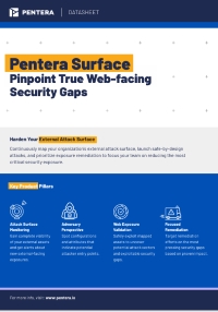 Pentera Surface