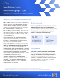 Maintain Accuracy while Managing AI Cost