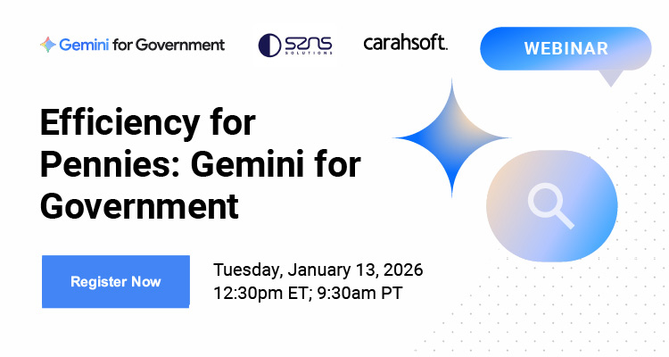 Efficiency for Pennies: Gemini for Government