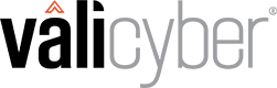 Vali Cyber logo