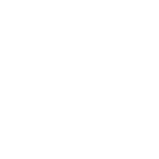 Physical Security Solutions