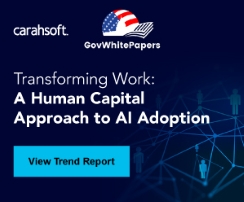 Transforming Work: A Human Capital Approach to AI Adoption