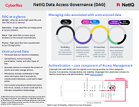 NetIQ Data Access Governance (DAG)