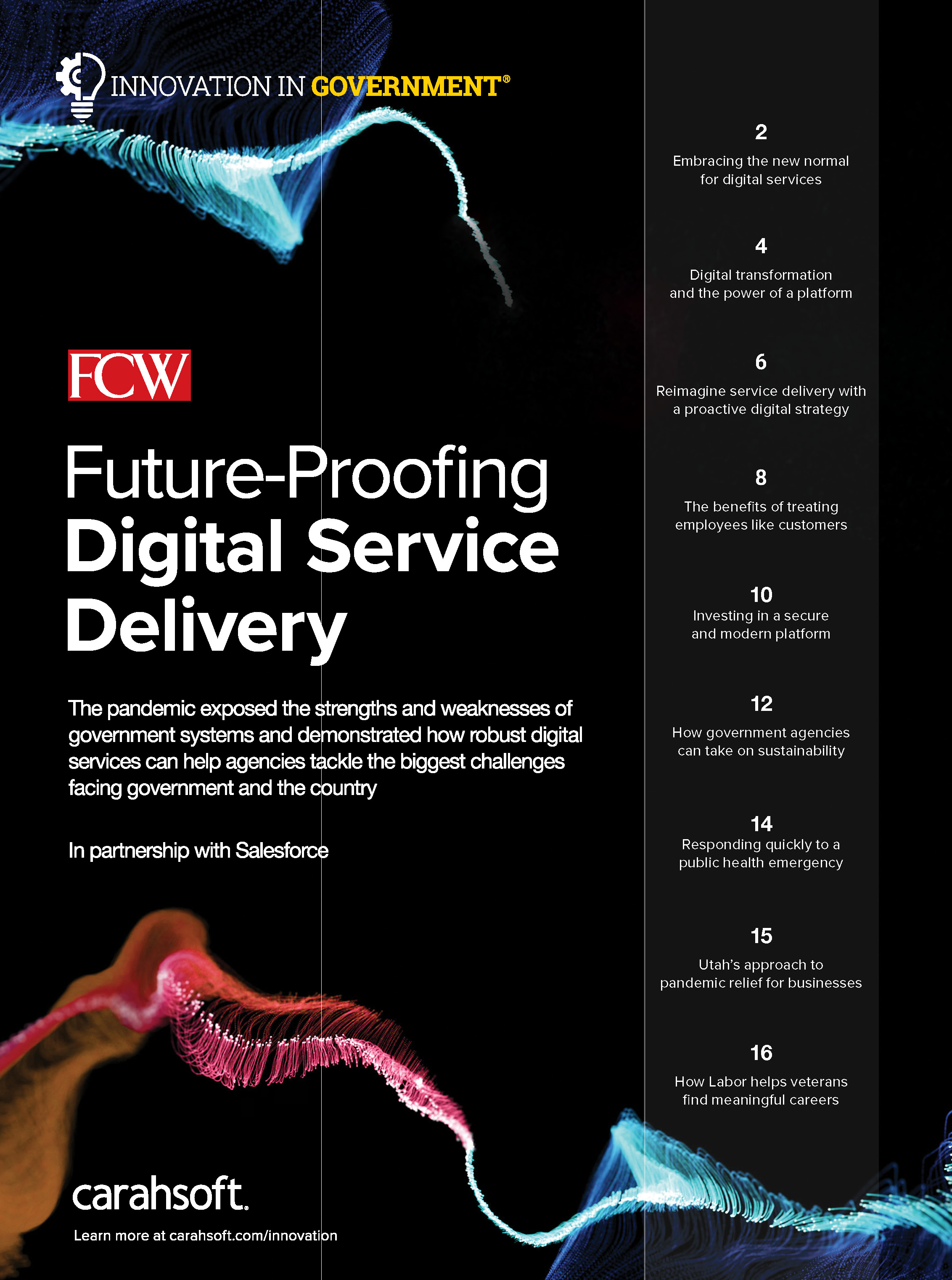 FCW IIG Digital Service Delivery Report cover