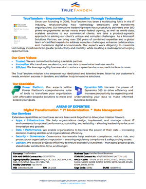 TrueTandem - Company Overview