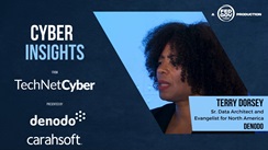 CyberInsights from TechNet Cyber with Denodo