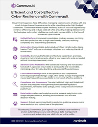 Efficient and Cost-Effective Cyber Resilience with Commvault