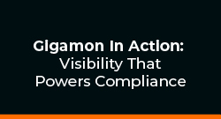 Gigamon In Action: Visibility That Powers Compliance