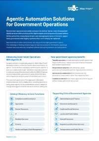 Agentic Automation Solutions for Government Operations
