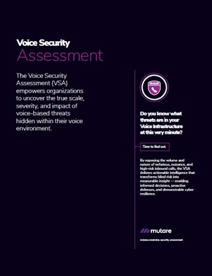 Voice Security Assessment