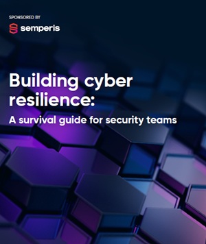 Building Cyber Resilience Survival Guide