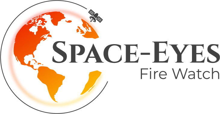 Space Eyes Fire Logo