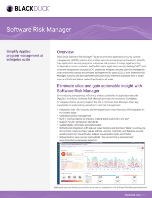 Software Risk Manager