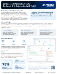 Continuous T-MSIS Validation for Confident CMS Submission With TorQ