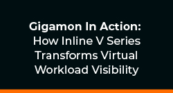 Gigamon In Action: How Inline V Series Transforms Virtual Workload Visibility