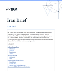 Iran Brief - June 2025