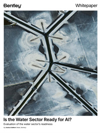 Is the Water Sector Ready for AI? Evaluation of the Water Sector's Readiness