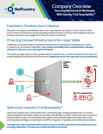 company_overview_netfoundry_img.png